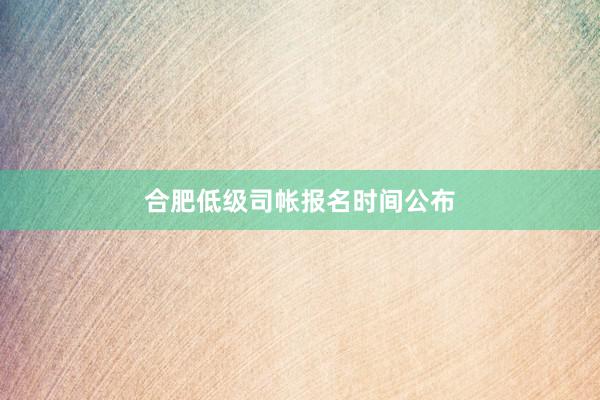 合肥低级司帐报名时间公布